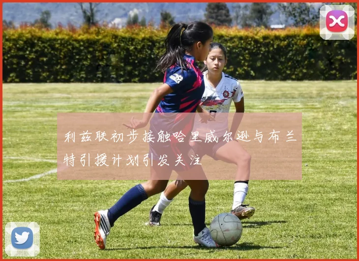 利兹联初步接触哈里威尔逊与布兰特引援计划引发关注