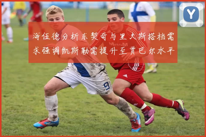 海伍德分析东契奇与里夫斯搭档需求强调凯斯勒需提升至贾巴尔水平