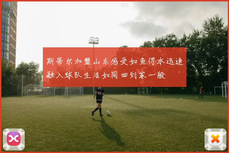 斯蒂尔加盟山东感受如鱼得水迅速融入球队生活如同回到家一般