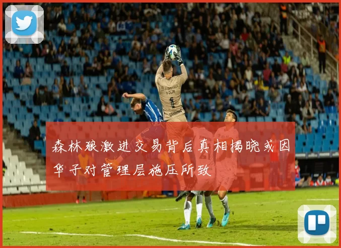 森林狼激进交易背后真相揭晓或因华子对管理层施压所致
